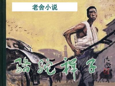 桃红色的世界官方官网进口